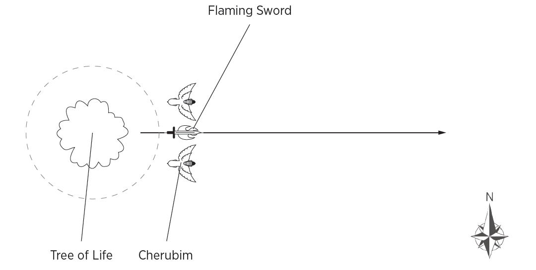 A diagram of a bird with a sword

AI-generated content may be incorrect.